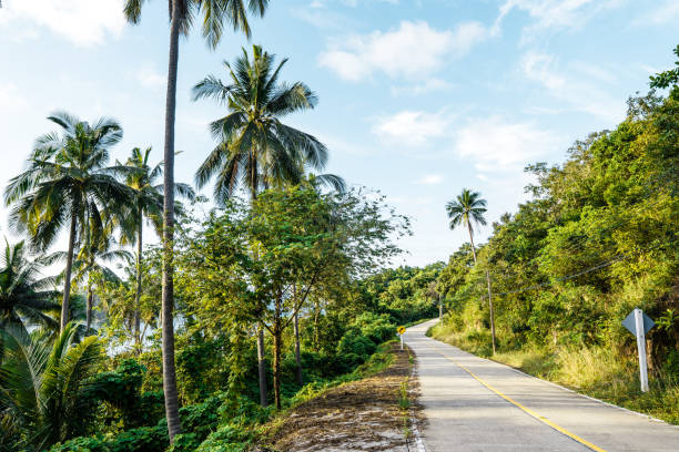 istock Island road and coconut trees 1400357905