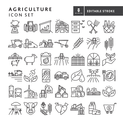 Vector illustration of a big set of farm and agriculture icon concepts thin line style icons. Includes, harvesting, livestock, bee keeping, farm to table, cash crop prices, irrigation, solar power, growth, planting, seeding concepts, crops dairy farming and farm worker, on white background with no white box below. Fully editable for easy editing. Simple set that includes vector eps and high resolution jpg in download.