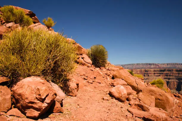 Photo of Gran Canyon of Colorado