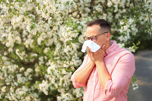 a man sneezes into a handkerchief against the background of flowering trees