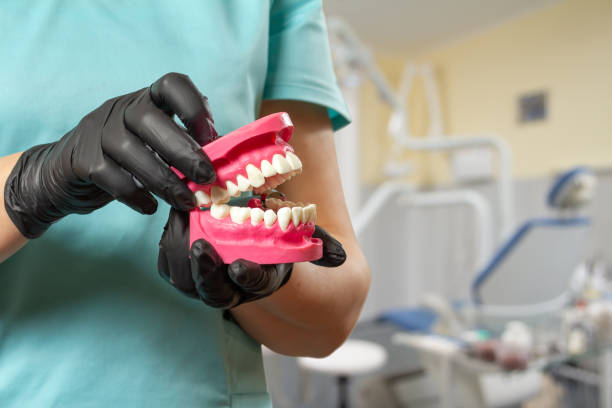 istock Dentist holding layout of the human jaw 1400368650