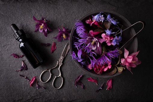 Zero waste flower crafting, with common garden flowers using re-useable black glass dropper bottle, vintage scissors and tongs, hand made ceramic bowl on slate counter.