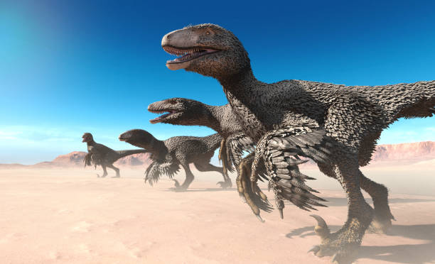 Dakotaraptor group hunting 3D illustration stock photo