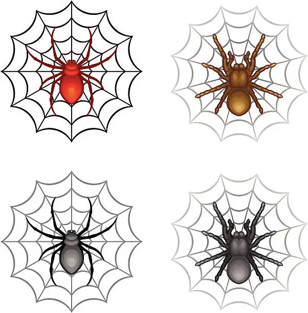 Vector illustration of Spider