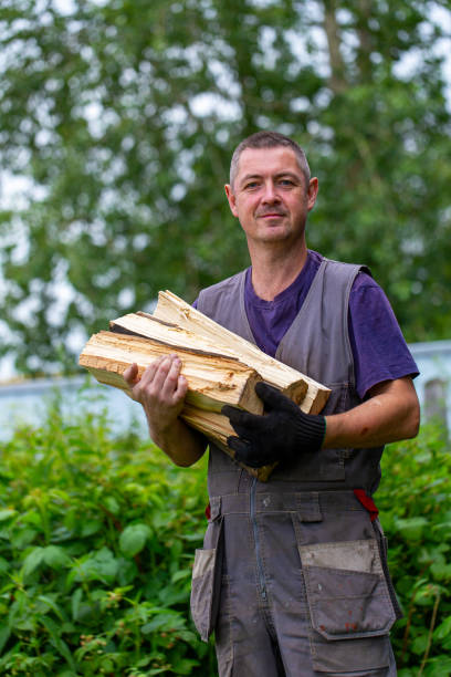 istock Man in overalls carries firewood 1400375069