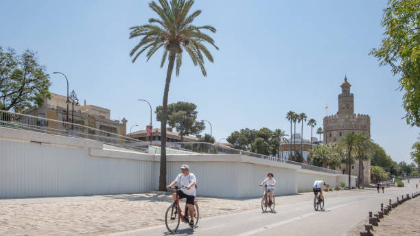 touristes ou résidents profitant d’une balade à vélo sur les pistes cyclables désignées près de torre del oro, séville, andalousie, espagne - seville torre del oro sevilla spain photos et images de collection