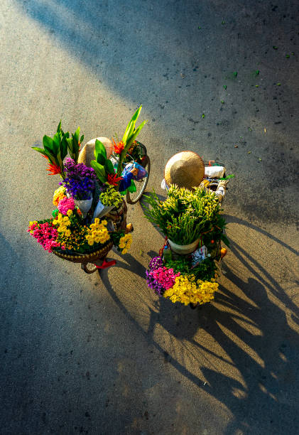 Flowers on the old town