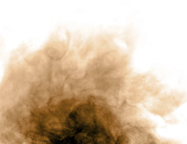 Brown black dust powder explosion. The texture is abstract and splashes float. on a white background