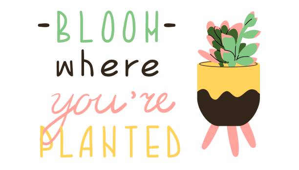 Plant phrase. Trendy house plant and motivation quote bloom where you are planted. Hand drawing print design. Home and stationery decor. Flat style in vector illustration. Isolated elements. Plant phrase. Trendy house plant and motivation quote bloom where you are planted. Hand drawing print design. Home and stationery decor. Flat style in vector illustration. Isolated elements. work motivational quotes stock illustrations