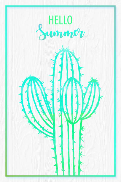 illustrations, cliparts, dessins animés et icônes de aquarelle cactus de couleur turquoise avec fond de boiserie blanchie à la chaux. fond tropical, élément de design tropical, affiche, art décoratif, concept d’été. - southwest usa floral pattern textile textured