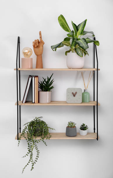 istock Shelving unit with beautiful houseplants, book and decor on light wall 1400392597