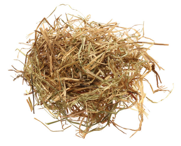 istock Heap of dried hay on white background 1400393929