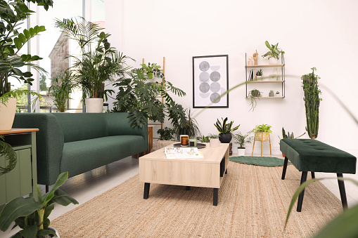 Living room interior with modern furniture and houseplants