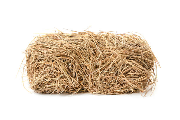 istock Small dried hay bale on white background 1400394026
