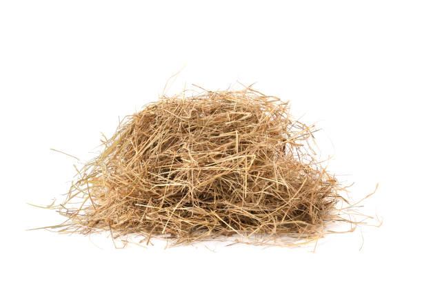 istock Heap of dried hay on white background 1400394056