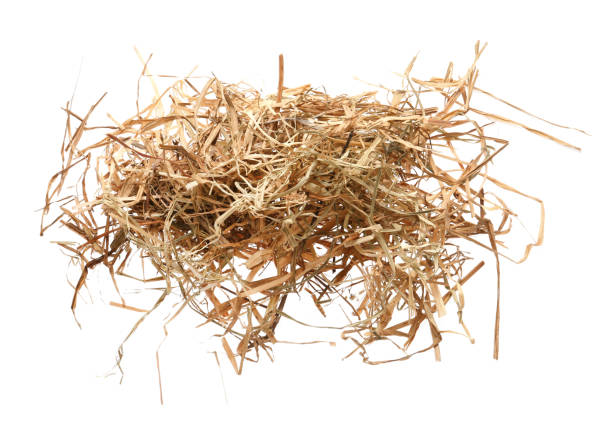istock Heap of dried hay on white background 1400394201