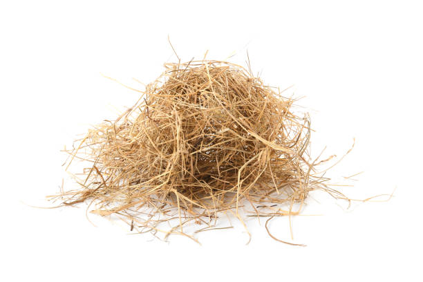 istock Heap of dried hay on white background 1400394213