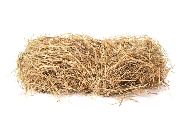 istock Small dried hay bale on white background 1400394247