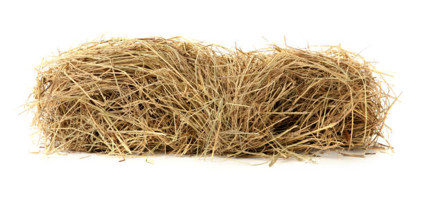 istock Small dried hay bale on white background 1400394296