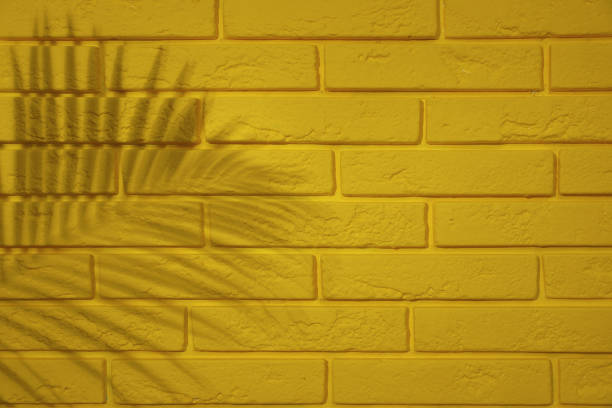 istock Shadow of tropical palm leaf on yellow brick wall, space for text 1400394408