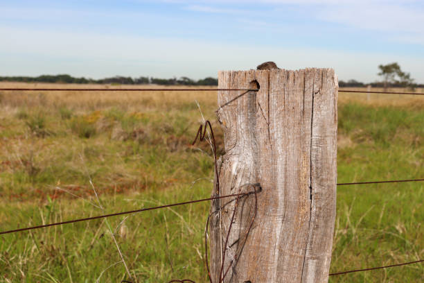 istock old timber fence in field 1400397601