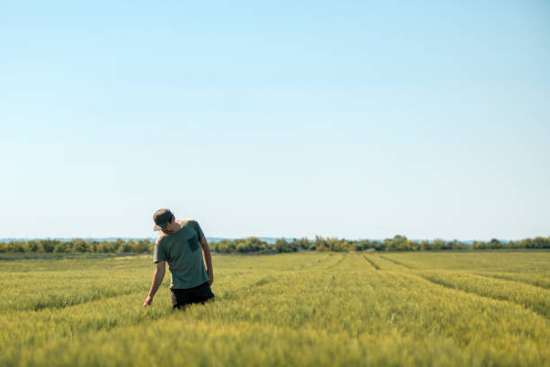 istock Barley crops development control, farm worker examining plants in cultivated agricultural field on sunny springtime day 1400403788