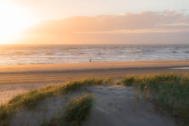 Scenic view of beach in Katwijk aan Zee at sunset  in summer