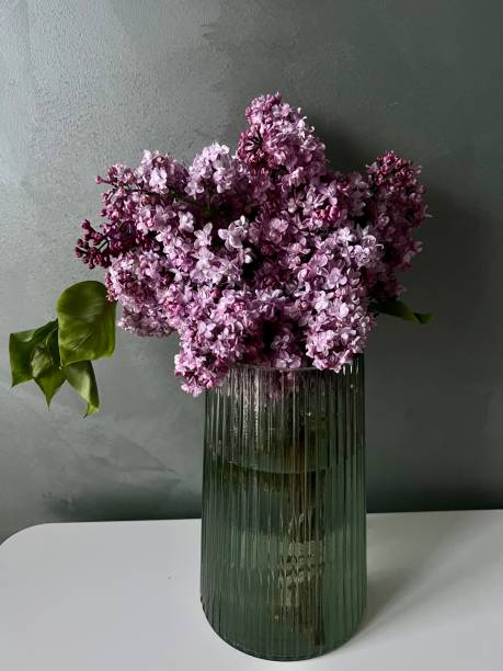istock lilac in a vase against on black background 1400405371