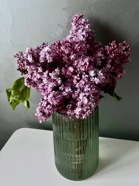 istock lilac in a vase against on black background 1400405382