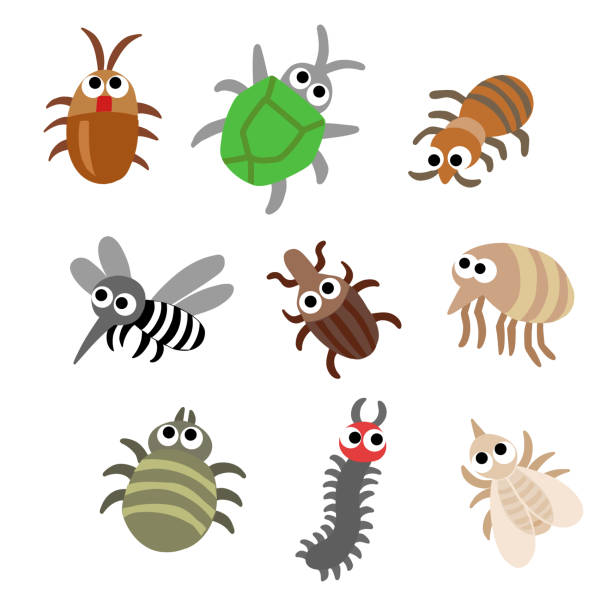 satz von insektenschädlingen clip art von kakerlake, stinkwanze, mücke, kokzidian, floh, zecken, tausendfüßler, weiße ameise - bedbug insect beetle temperate bedbug stock-grafiken, -clipart, -cartoons und -symbole