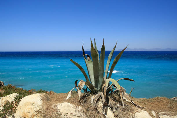 The view of the sea coast from Promenade along the sea in the town Rhodes