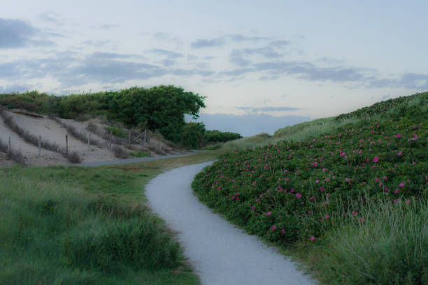 Scenic view of  road leading to beach in Katwijk aan Zee at sunset  in summer