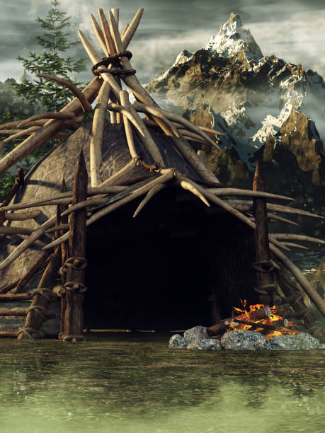 The tent in the park
