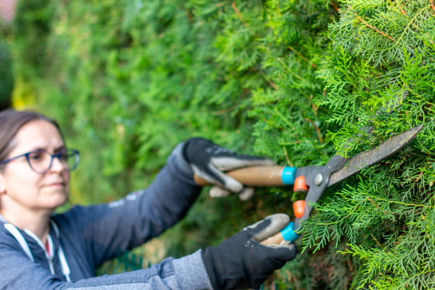 istock Smiling woman with hand shears pruning the bush 1400409913