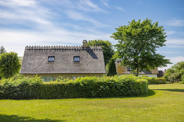 House with a thatched roof with windows behind a hedge in Nivaa or Nivå which is a small village which has grown into a suburb to the Danish capital Copenhagen