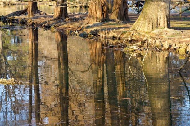 Milan, Lombardy, Italy: the park known as Parco Sempione at March