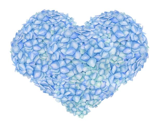 istock Watercolor blue floral heart. Hand painted romantic floral arrangement with Hydrangea flower buds isolated on white background. Botanical print for love cards, wedding, invitations. 1400414885