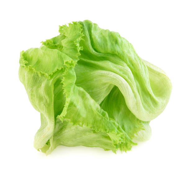 istock Green iceberg lettuce on white Background 1400414904