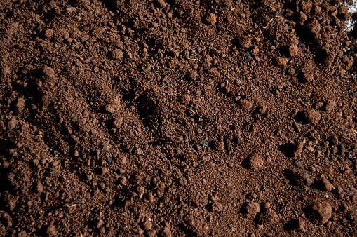 Agricultural soil ready for sowing