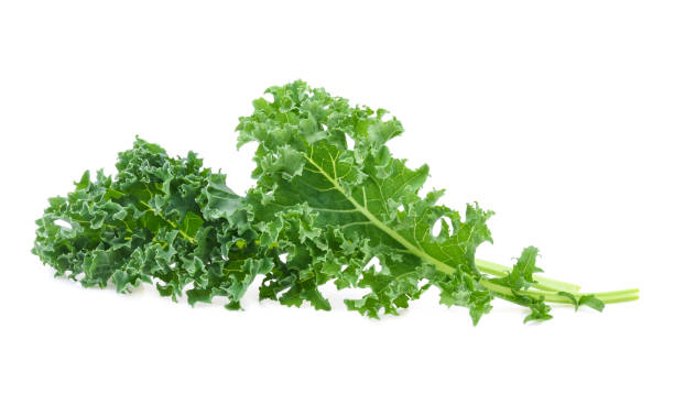 istock Kale leaf salad vegetable isolated on white background 1400416345