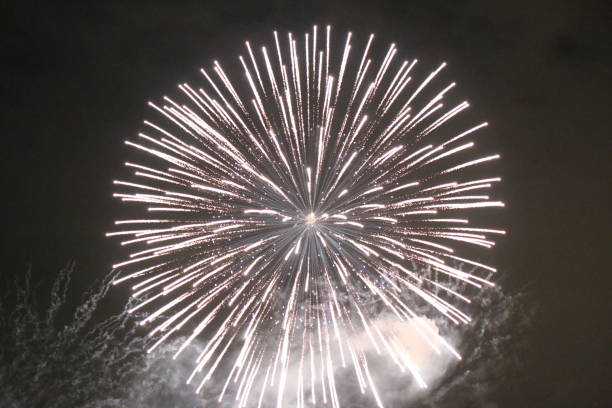 feu d'artifice - feu dartifice photos et images de collection