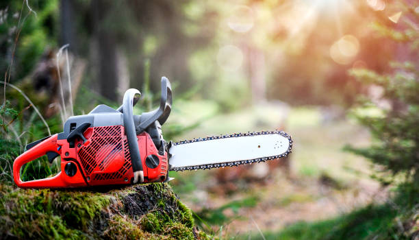 istock Chainsaw on wooden stump wide banner. 1400420937