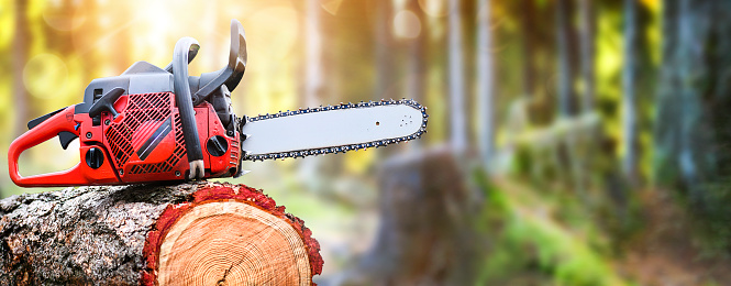 Chainsaw on wooden stump or firewood. Cut tree machine wide banner, or copy space for text.