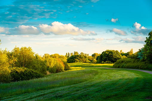 Green grass field in park