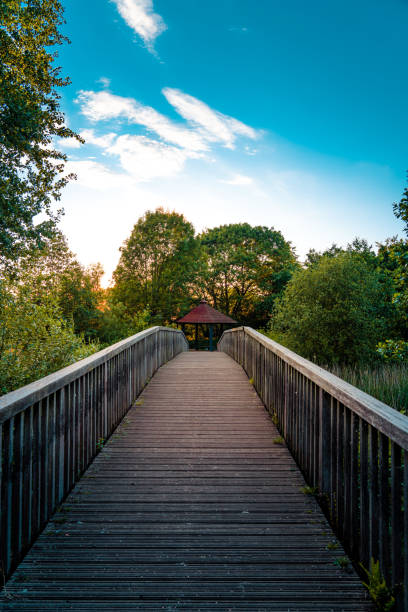istock Wooden bridge in the park 1400425056