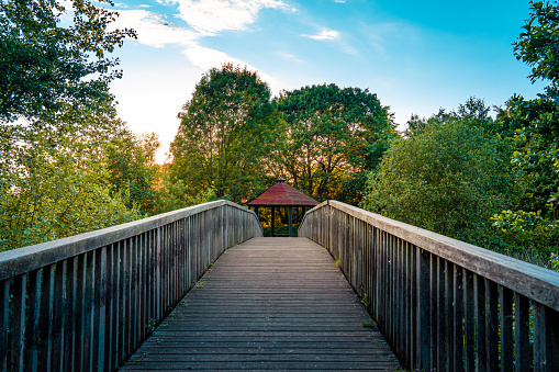 Wooden bridge in the park