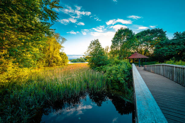 Wooden bridge in the park