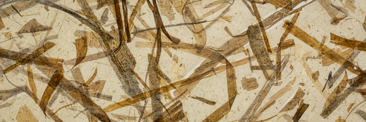 background of amber and brown backlit, handmade, mulberry paper with fiber and leaf inclusions, panoramic web banner