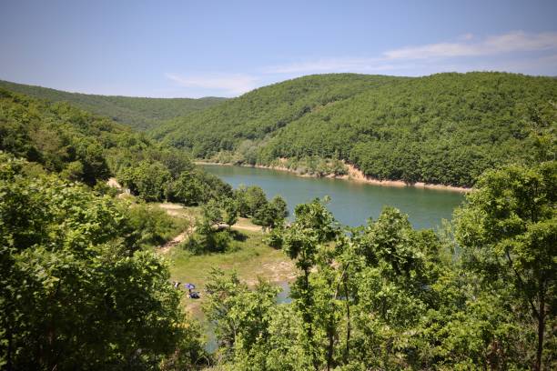 istock Lake in the forest 1400437378