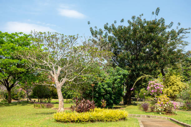 istock A Lovely Garden with Various Trees and Jogging Track 1400438614